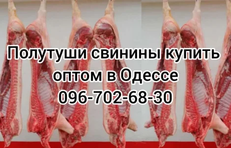Полутуши свинины цена