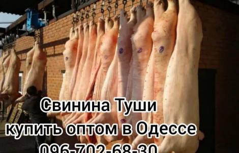 Туші свинини ціна