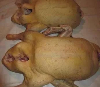 Продам мясо. Индейка