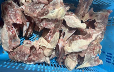 Куплю каркас курячій