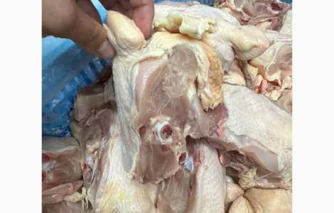 Куплю спинку куриную