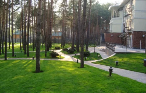 Суміші насіння газонних трав