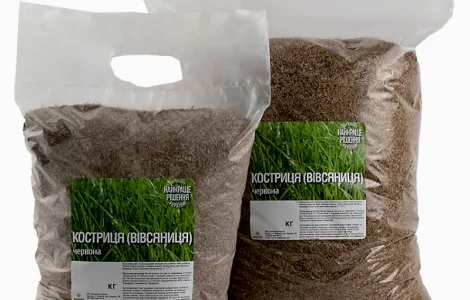 Вівсянниця (костриця) червона купити від 1кг