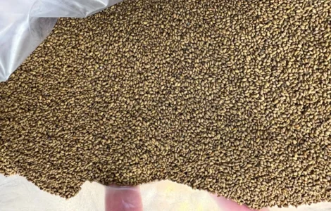 Люцерна Надія 1р магнічена з пдв