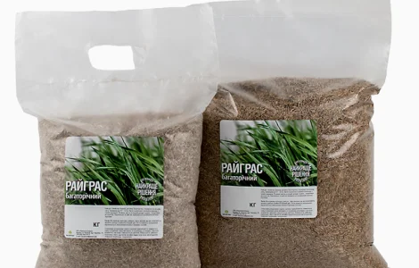 Райграс пастбищный от 1 кг продам. Кормовая трава