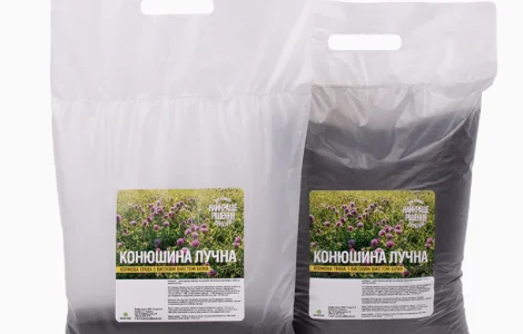 Конюшина лучна