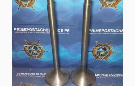 Капан газорозподілу всмоктування ДВЗ 6NVD48AU