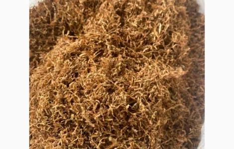 ОПТ більше 10 видів