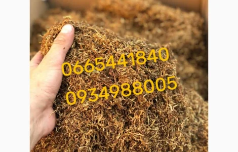 Якісний тютюн Парламент Голд Берлі Вірджинія Руно Вінстон Кемел Мальбро Гавана Є ОПТ