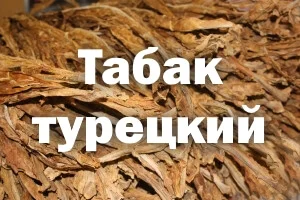 Табак Турецький. Вірджинія Голд. Міцність 4