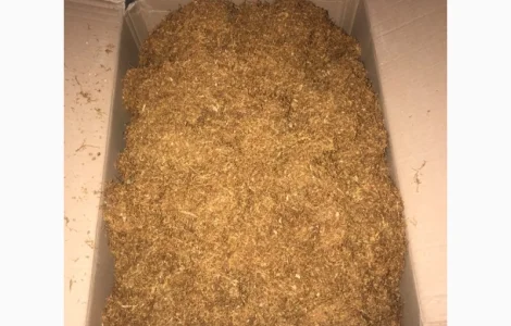 ТАБАК ВИРДЖИНИЯ. Высокое качество гарантирую! ЛАПША, СРЕДНЯЯ КРЕПОСТЬ