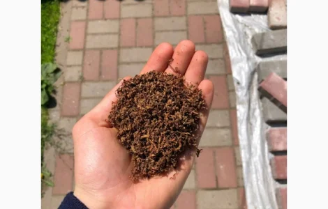 Махорка / Хлопья / Берлі / Вірджинія / Голд / Руно