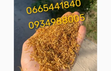 Дюбек, Гавана, Берлі, Голд, Руно, Вірджинія, Бонд, Мальбро без палок та пилі