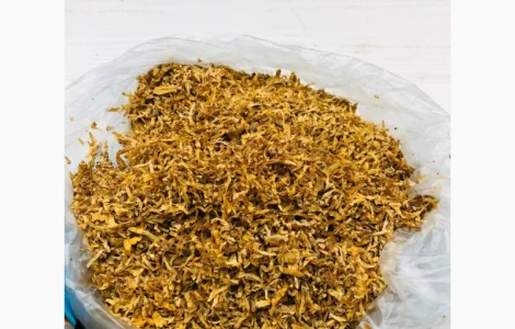 Берлі, Вірдж Голд, Капітан Блек, Гавана, Міленіум