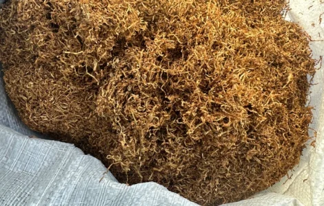 Продається тютюн для самокруток