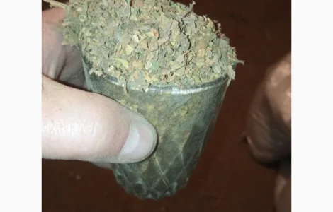 Куплю лист битий хлопями зеленими некондицію від мішка