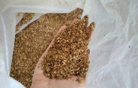 Куплю відходи хлопя з некондиці обрізки крепкого тютюну відходи некондиція лапші