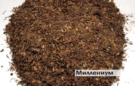 Тютюн на вагу Миленіум Економ 1 кг 650 грн / Миллениум від Тютюн / Табак опт
