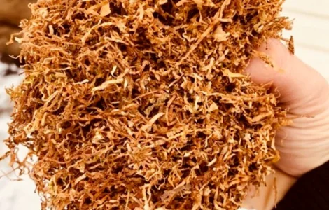 Большой ассортимент табака для трубки