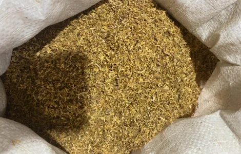 Заводской качественный фабричный табак Winston, Парламент, Вирджиния, Мелениум