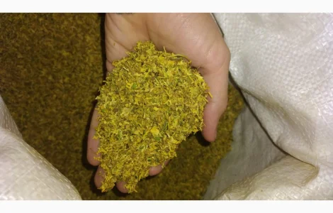 Кемел Фабрика для трубки