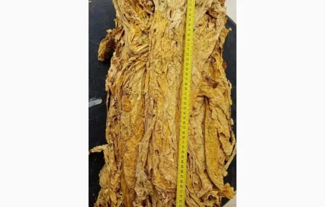 Продам Табак для сигарет 1 кг, Вирджиния, Венгерский, Мальборо