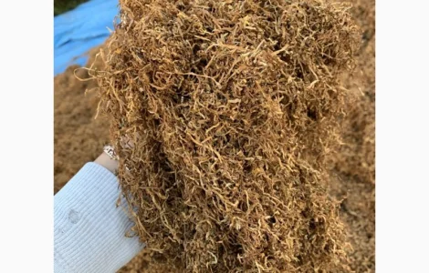 Продаю табак різаний, високої якості