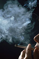 Хороший тютюн для трубки