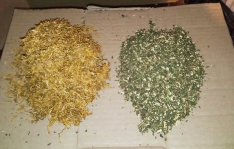 Тютюн самосад махорка табак  для  сигарет 1 кг,  все домашнє