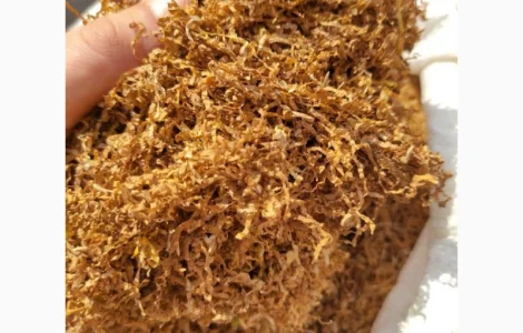 Лучшие сорта табаков для самокруток и различных курительних аксессуаров