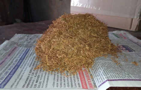 Махорка для трубки  і Вірджінія ще є