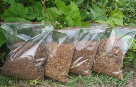 Тютюн для самокруток , табак, та аксесуари до нього, гарна якість та ін