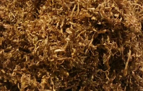 Честер и другие виды табака для сигарет 1 кг