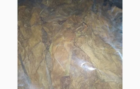 Продам табак для трубки