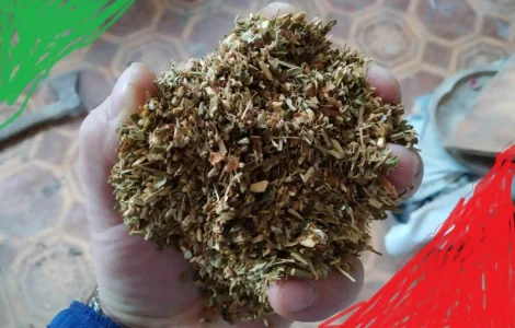 Куплю тютюновий лист (рваний, сухий, некондиція)