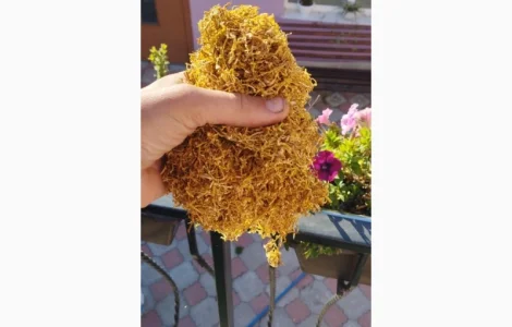 Продаю Фабричный табак Мальборо, Винстон, Кемел, Прилуки, Давидов для самокруток