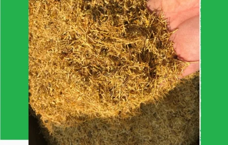 Тютюн на вагу — Вірджінія, Берлі, Мілєніум, ферментований, лапша 0.7 мм