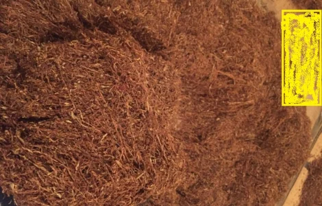 Продам тютюн на вагу — домашній сорт Вірджинія, різка лапша 0.6–0.7 мм