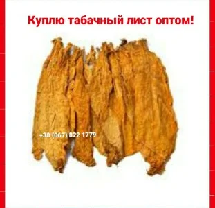 Куплю тютюновий лист для сигарет 1 кг, тільки ОПТОМ! Вся Україна