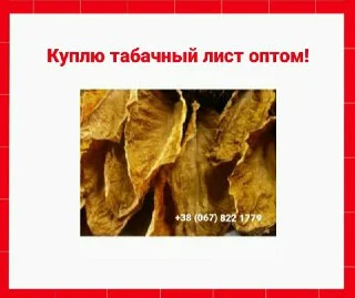 Куплю табачный лист для сигарет 1 кг, оптом! Дорого! Вся Украина