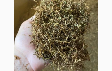 Імпортний табак. БЕРЛІ Вірджинія, Золоте руно, самосад