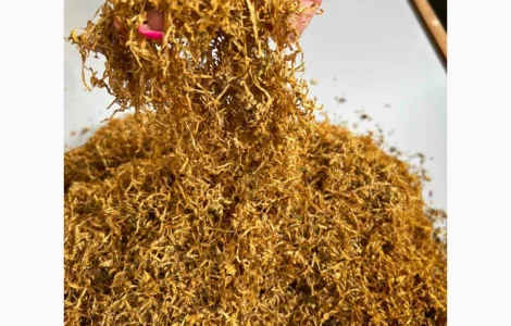 Ароматний Тютюн  для сигарет 1 кг, Який Підійде Саме Для ВАС