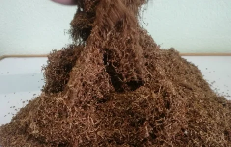 Продам чистый табак паутинка, лапша для сигарет 1 кг