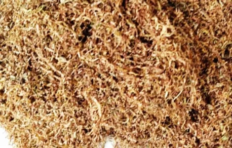 Табак зарубіжна якість