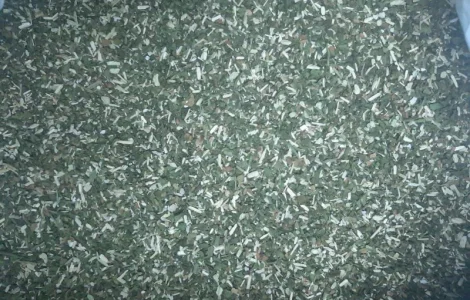 Продам Зелена МАХОРКА Самосад - Вищий Гатунок,  підійде для сигарет 1 кг