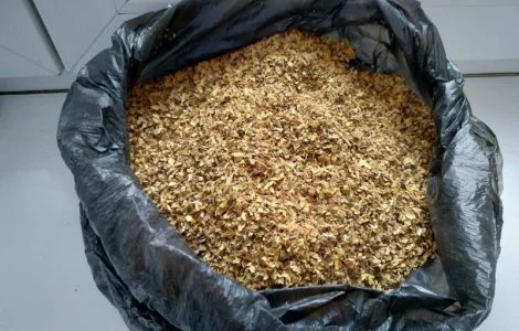 Вирджиния голд, Берли, Миллениум,