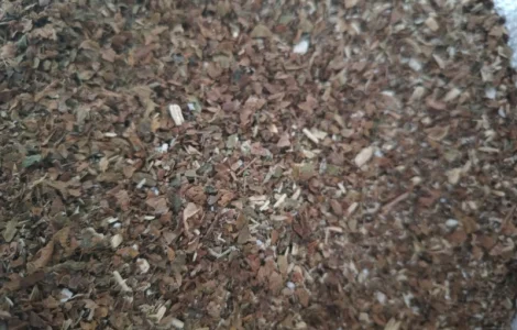 Самосад  для трубки , недорого