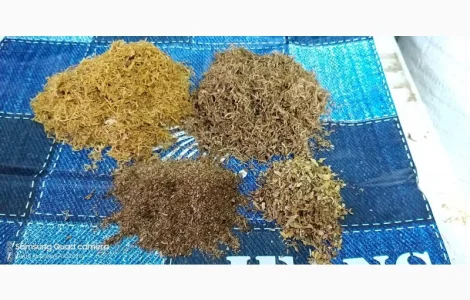 Табак Вирджиния, Берли, Тернополь лапшой , для сигарет 1 кг