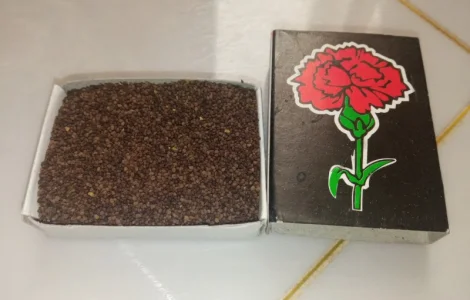 Продам насіння тютюну. Табак. Самосад. Махорка