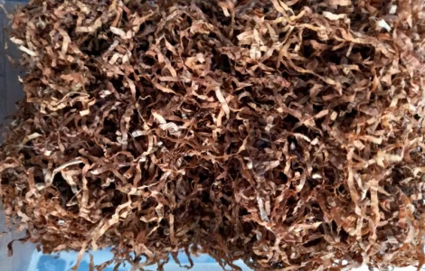 Продам табак   Берли крепкий